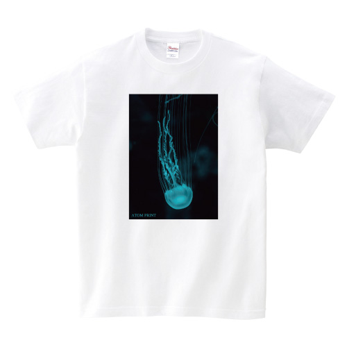 クラゲ図鑑 ヤナギクラゲ アトムプリント 大阪でのオリジナルtシャツ作りならアトムプリント