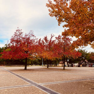 【アトムプリント】紅葉ちょっと見れました〜🍁