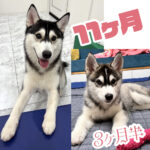 一年って早いですね