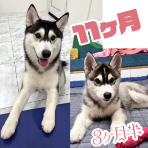 一年って早いですね