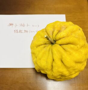 【縁起物】でっかい柚子をいただきました！！