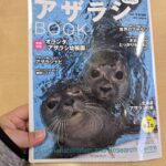 【あけおめ✨】私の癒し🦭【ことよろ🎍】