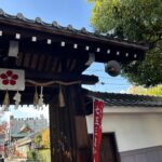【2025年スタート】新年あけましておめでとうございます。