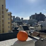 【オレンジデイズ】🍊