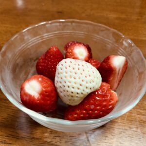 【アトムプリント】初めての白いイチゴ