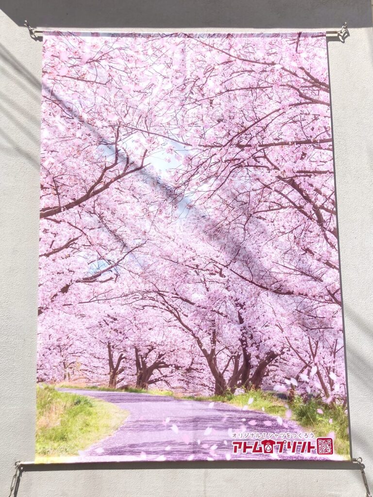 壁面には春らしい桜のフォトスポット