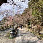 【アトムプリント】お花見に行ってきました～🌸