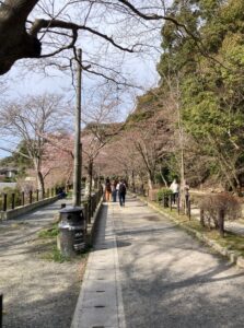 【アトムプリント】お花見に行ってきました～🌸