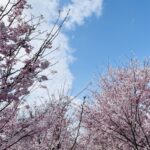 【卒業】おめでとうございます！！【入学】【新入社】