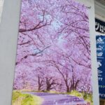 【アトムプリント】春の桜まつり
