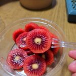 【フルーツ】食べたことある？【レッドキウイ】