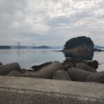 久々の南あわじ