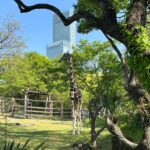 【アトムプリント】天王寺動物園【大阪】