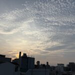 灼熱BBQ🏝️