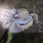 リベンジ成功