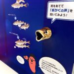 滋賀・かねふく めんたいパークに行ってきました～【アトムプリント】