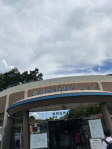 【Go Go プール🐬】in 鶴見緑地