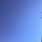 🧊お疲れ様です🧊