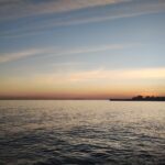 ストレス解消（？）