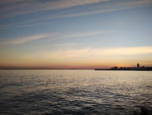 ストレス解消(?)