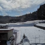 【年末年始】雪が降りました