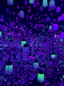 【チームラボ】おでかけ【京都】