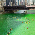 愛される色、緑色