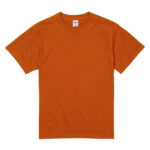 955-ヘイジーオレンジ