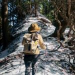 【アトムプリント】油日岳・加茂岳・忍者岳・三国岳・倉部山をトレッキング