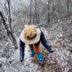 【アトムプリント】八幡山を縦走