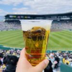 【甲子園】今年も始まりました！【オープン戦】